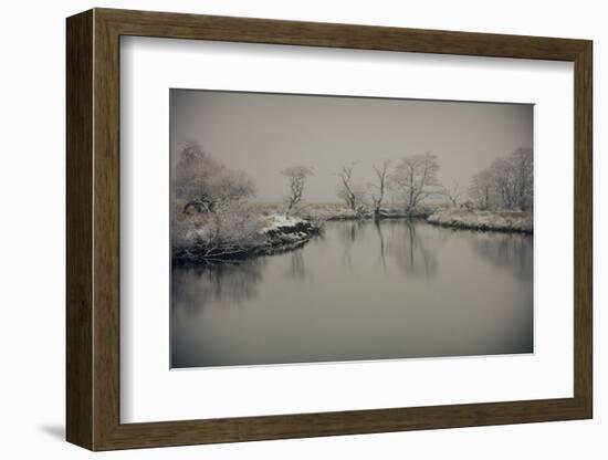 January Still-Valda Bailey-Framed Photographic Print