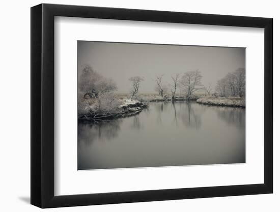 January Still-Valda Bailey-Framed Photographic Print