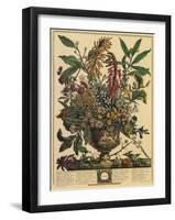 January-Robert Furber-Framed Art Print