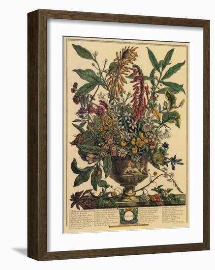 January-Robert Furber-Framed Art Print