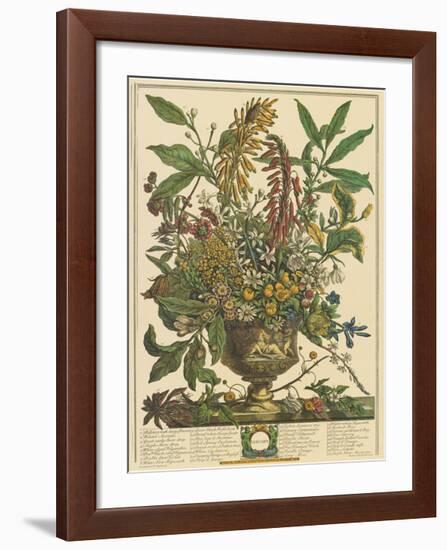 January-Robert Furber-Framed Giclee Print