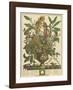 January-Robert Furber-Framed Giclee Print