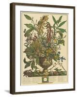 January-Robert Furber-Framed Art Print