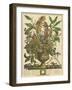 January-Robert Furber-Framed Art Print