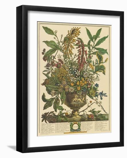 January-Robert Furber-Framed Art Print