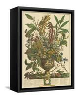 January-Robert Furber-Framed Stretched Canvas