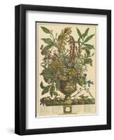 January-Robert Furber-Framed Art Print