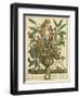 January-Robert Furber-Framed Art Print