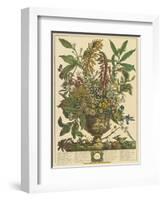 January-Robert Furber-Framed Art Print