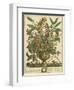 January-Robert Furber-Framed Art Print