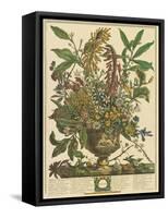 January-Robert Furber-Framed Stretched Canvas