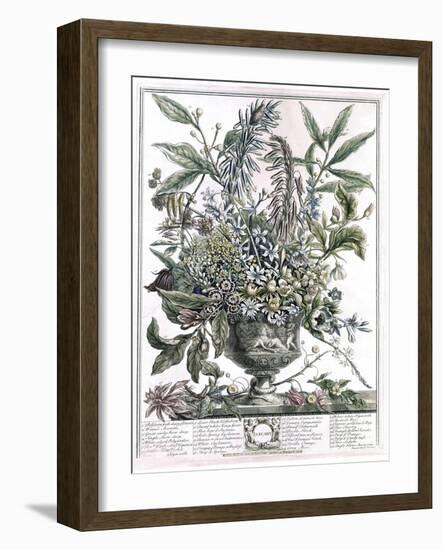 January-H. Fletcher-Framed Giclee Print