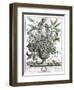 January-H. Fletcher-Framed Giclee Print