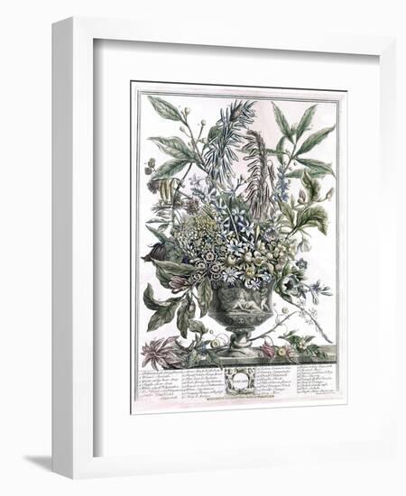 January-H. Fletcher-Framed Giclee Print