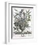 January-H. Fletcher-Framed Giclee Print