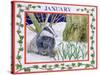 January-Catherine Bradbury-Stretched Canvas