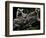 Japan Animal Lemur-Itsuo Inouye-Framed Photographic Print