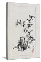 Japan: Bamboo, 1878-Settei Haswgawa-Stretched Canvas