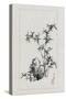 Japan: Bamboo, 1878-Settei Haswgawa-Stretched Canvas