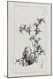 Japan: Bamboo, 1878-Settei Haswgawa-Mounted Giclee Print