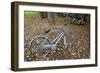 Japan Bicycle #10-Alan Blaustein-Framed Photographic Print