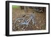 Japan Bicycle #10-Alan Blaustein-Framed Photographic Print