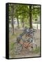 Japan Bicycle #12-Alan Blaustein-Framed Stretched Canvas