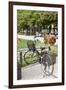 Japan Bicycle #5-Alan Blaustein-Framed Photographic Print