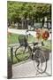 Japan Bicycle #5-Alan Blaustein-Mounted Photographic Print