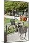 Japan Bicycle #5-Alan Blaustein-Mounted Photographic Print