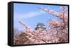 Japan Castle with Pink Cherry Blossoms Flower-aslysun-Framed Stretched Canvas