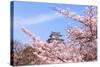 Japan Castle with Pink Cherry Blossoms Flower-aslysun-Stretched Canvas