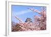 Japan Castle with Pink Cherry Blossoms Flower-aslysun-Framed Photographic Print