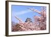 Japan Castle with Pink Cherry Blossoms Flower-aslysun-Framed Photographic Print