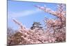 Japan Castle with Pink Cherry Blossoms Flower-aslysun-Mounted Photographic Print