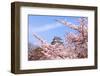 Japan Castle with Pink Cherry Blossoms Flower-aslysun-Framed Photographic Print