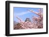 Japan Castle with Pink Cherry Blossoms Flower-aslysun-Framed Photographic Print