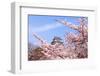 Japan Castle with Pink Cherry Blossoms Flower-aslysun-Framed Photographic Print