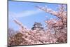 Japan Castle with Pink Cherry Blossoms Flower-aslysun-Mounted Photographic Print