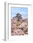 Japan Castle with Pink Cherry Blossoms Flower-aslysun-Framed Photographic Print