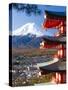 Japan, Central Honshu (Chubu), Fuji-Hakone-Izu National Park, Mount Fuji Capped in Snow-Gavin Hellier-Stretched Canvas