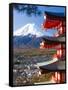 Japan, Central Honshu (Chubu), Fuji-Hakone-Izu National Park, Mount Fuji Capped in Snow-Gavin Hellier-Framed Stretched Canvas