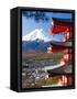 Japan, Central Honshu (Chubu), Fuji-Hakone-Izu National Park, Mount Fuji Capped in Snow-Gavin Hellier-Framed Stretched Canvas