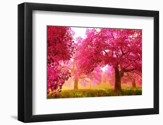 Japan Cherry Blossoms Garden -null-Framed Art Print