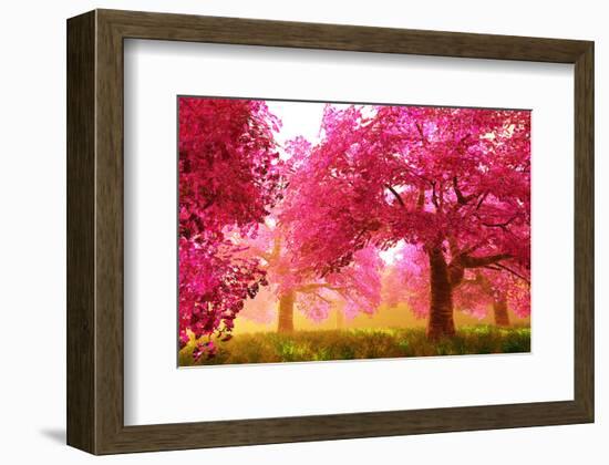 Japan Cherry Blossoms Garden -null-Framed Art Print