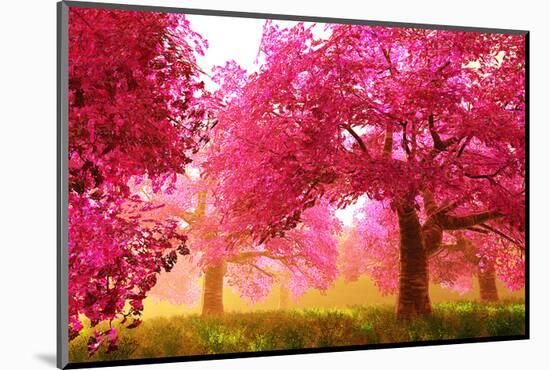 Japan Cherry Blossoms Garden -null-Mounted Art Print