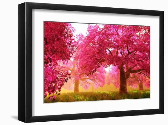 Japan Cherry Blossoms Garden -null-Framed Art Print