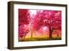 Japan Cherry Blossoms Garden -null-Framed Art Print