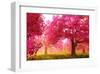 Japan Cherry Blossoms Garden -null-Framed Art Print