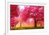 Japan Cherry Blossoms Garden -null-Framed Art Print